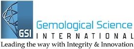 GSI Logo